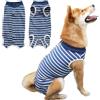 TYXHXTF 2PCS Blu Body Post Operatorio Cane Tuta Recupero Cane,Body Cane Post Operatorio Femmina,Body Chirurgico Cane Tutina Post Operatoria,Maschio Tuta Post Operatoria Cane