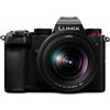 Panasonic Lumix DC-S5 + Lumix S 20-60mm F/3.5-5.6