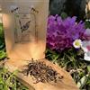 Tea Soul Tè Rosso (nero) Biologico Smokey - 10 g
