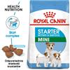 ROYAL CANIN Mini Starter Mother& Babydog 4kg cibo secco per la gravidanza, allattamento e cuccioli da 4 a 8 settimane, razze piccole