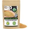 Alpi Nature Semi di Senape Bianca Gialla 1kg, Semi di Senape Bianca Gialla da 1-2mm