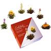 Creano Mix - Fiori di Tè Bianco e Nero - 6 Tipi Diversi di Té Fiorito - Nobile Confezione Regalo per la Degustazione - Fiori di Tè Sbocciati