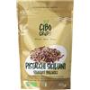 CIBO CRUDO crudo biologico vegan CiboCrudo Pistacchi Crudi Sgusciati Bio Raw Organic, Non Tostati, Non Salati, Origine Sicilia, Al Naturale, Fonte di Acidi Grassi, Fibre, Vitamina E, B1, B6, Antiossidanti - 200 gr