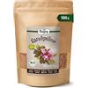 Biojoy Carruba BIO in polvere, senza zuccheri aggiunti, 500 g | Farina di carruba dalla Spagna, alternativa naturale al cacao, ideale per gelati, Ceratonia siliqua L.