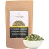 TeaClub Te Verde Sencha Lemon 100g, Tè Verde Giapponese con Matcha e Citronella, Tè Verde Giapponese TeaClub