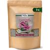 Biojoy Semi di Papavero blu BIO (1 kg), naturale, per cucina e da mangiare