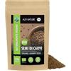 Alpi Nature Semi di Cumino dei Prati BIO 250g, bio Carvi Semi Interi per Cucina, Carum Carvi