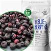 ZINGY ZOO Frutti di Bosco Disidratati Blue Berry Liofilizzati | Mirtilli Selvatici Mirtilli Disidratati | Mirtilli Neri Disidratati Senza Zucchero Secchi | Freschi Polvere di Mirtillo Mulino Mirtillo (100g)