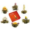 Creano Mix - Fiori di Tè Bianco - 6 Tipi Diversi di Té Fiorito - Nobile Confezione Regalo per la Degustazione - Fiori di Tè Sbocciati