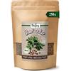 Biojoy Semi di coriandolo BIO interi, 250 g | Dalla Bulgaria, ideali per infusi, seminare, germogliare o cucinare, Coriandrum sativum L.