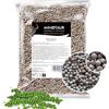 Minotaur Spices | Pepe bianco intero | Pepe in grani bianco | 2 x 500g (1 Kg)