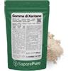 Saporepuro Xantano in polvere 125 gr - Ideale per Gelati, salse, topping, Sorbetti, gel, impasti pizza, mixologi, cucina molecolare - Puro 100%
