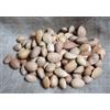 Naturix24 mandorle in guscio 1 Kg