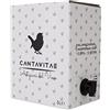 Azienda Agricola CantaVitae VINO FALANGHINA IGP IGT bag in Box 5 L bianco CAMPANIA 12,5% Sfuso da Azienda Agricola