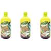 Roby Marton Big Gino Exotic Dream - Gin Da 1l - Gin Dolce Con Note Di Ginepro, Pomelo, Bacche Di Pimento E Frutta Tropicale. Ottimo Gin Per Cocktail Esotici E Pestati. (3)