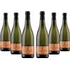 Drusian - Prosecco DOC Treviso Frizzante Sur lieCol Fondo - Rifermentazione in bottiglia - 0,75l (6 bottiglie)