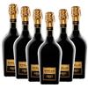 Ceci 6 bt x 0,750 l - Emilia IGT Nero di Lambrusco Otello Cantine Ceci