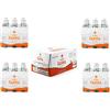 ENOTECA BOCCI Acqua panna vetro cl25 x 24 bottiglie