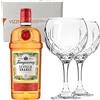 Generico TANQUERAY GIN SEVILLA ORANGE - Distilled Gin 41,3% Vol. 1000 ml - Due Bicchieri In Vetro Borgonovo 620 ml