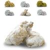 BRICIOLIAMO... [ 1 kg. ] - Paste di Mandorla Artigianali Fresche - MANDORLA 40% - 6 GUSTI DISPONIBILI/BOX MISTO - Dolci Tipici Siciliani, Prodotte in Sicilia. (Classiche, BOX | 1 kg)