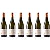 Sommelier Wine Box 6 bottiglie di Moscato d'Asti DOCG | Cantina Dante Rivetti | Annata 2017