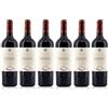 Tenute Orestiadi Confezione 6 bottiglie ORESTIADI LUDOVICO | Vino Rosso Barricato 30 Mesi | Terre Siciliane IGT | Cantina Tenute Orestiadi