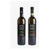 Cantina Riccio 2 bottiglie di vini bianchi Irpini: 1 x Falanghina Irpinia Doc e 1 x Greco di Tufo Docg Cantina Riccio, I Vini di Janus - 2x0,75 litri)