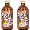 Roby Marton Gin Big Gino - 0,5 l (2 Bottiglie da 0,5l)