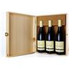 Gandin Cassetta di legno da 3 bottiglie: Pinot Grigio, Refosco, Friulano DOC Friuli Isonzo | Gandin Wines 0,75 L | Cassetta di legno | Idea Regalo