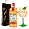 Generico Gin Tanqueray Sevilla Orange con Bicchiere Coppa da Gin Originale Tanqueray in Omaggio - 41,3% Vol. 1000 ml