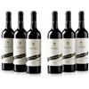 Villa Lanata - Vino Rosso - Piemonte Doc Rosso - Pacco Da 6 X 750Ml