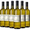 Castellare Di Castellina Spartito Sauvignon Blanc Vino Bianco - Cassa Da 6 Bottiglie - 4500 ml