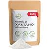 Food Bites Gomma di Xantano in Polvere 250g - Addensante Alimentare Senza Glutine e Vegano - Gomma Xantana Ideale per Dolci, Gelati e Cucina Molecolare - eBook OMAGGIO con 20 Ricette