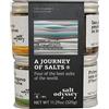 Salt Odyssey Set di Sali dal Mondo - 4 x 80 g | Sale marino affumicato | Fleur de Sel | Sale marino con curcuma, senape, curry & sommacco | Sale marino con origano, sesamo, timo & menta verde