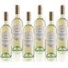 Masi MASIANCO 2023 | Pinot Grigio delle Venezie DOC | 6X750 ml | Appassimento Expertise | Confezione 6 bottiglie