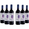 Tavernello Syrah Cabernet Vino Rosso d'Italia, Vino Rotondo ed Equilibrato, 13% Vol, Confezione con 6 Bottiglie da 0,75 L