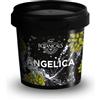 Bembo Qualità d'Autore Botaniche Gin: Angelica 35g - Aroma terroso ed erbaceo con sentori muschiati - Gusto amarognolo, secco e persistente - Perfetta con gin, vermouth, bitter e liquori alle erbe