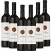 I MAGREDI - Cabernet Sauvignon Friuli Grave DOC (750mlx6)