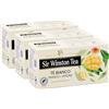 Sir Winston Tea, Tè Bianco Mango e Limone, 60 Filtri (3 Confezioni da 20 Filtri), Gusto Delicato e Fruttato, Certificato RFA, Senza Lattosio, Glutine e Allergeni, Vegan