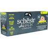 Schesir After Dark, Multigusto in Patè, Alimento Umido Completo per Gatti, in Lattina, Grain Free, Alto Contenuto di Proteine, Fonte di Idratazione, 12 x 80 g