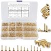 FandWay 1200 viti piccole M2 M2.5 M3, viti autofilettanti per legno, assortimento con scatola di immagazzinaggio (oro)