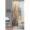 Home Fashion 87997 - 711 Caruso Tenda a Pannello con Stampa Digitale, Tessuto, Natur, 245 x 60 cm