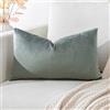 Artscope Federe Cuscini in Velluto Minimalista Copricuscino Colorato per la Decorazione Domestica Soggiorno Camera da Letto Divano 40x60cm, Grigio Scuro