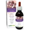 Naturalma Noce di Cola (Cola acuminata) semi Tintura Madre analcoolica Naturalma - Estratto liquido gocce 120 ml - Integratore alimentare - Vegano