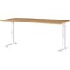 GERMANIA DIE MÖBELMACHER Germania Scrivania 7911-552, a Rovere di Grandson repro/Bianco, altezza media regolabile, 160 x 91 x 80 cm (LxAxP)