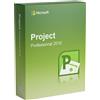 Microsoft Project 2010 Professional