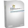 Microsoft Windows Small Business Server 2011 Standard CAL