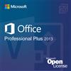 Microsoft Co Microsoft Office 2013 Professional Plus Licenza OPEN Terminal Server, Licenza a volume