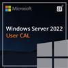 Microsoft Co Microsoft Windows Server 2022 User CAL
