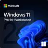 Microsoft Windows 11 Pro for Workstation